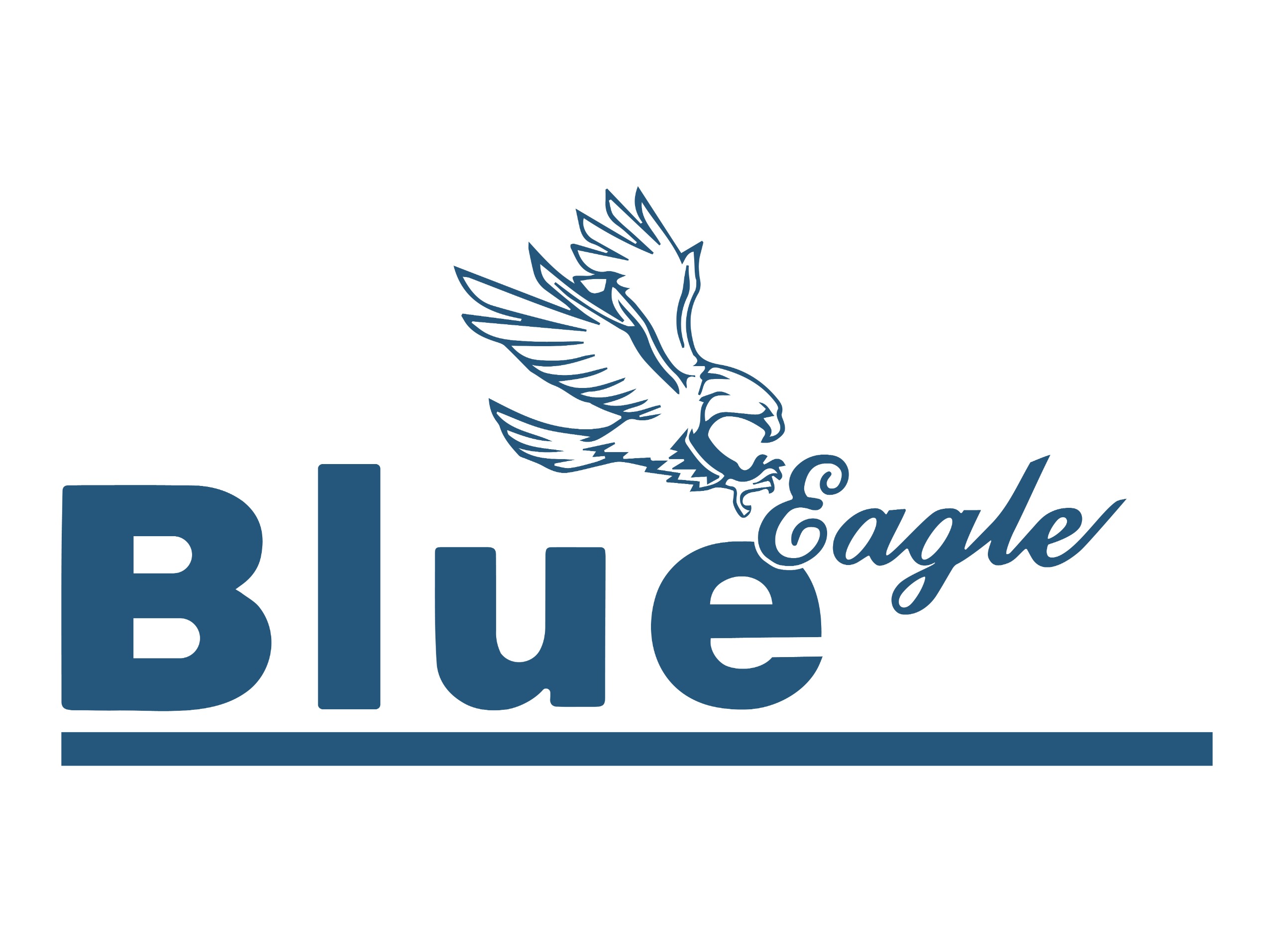 Blue Eagle logo